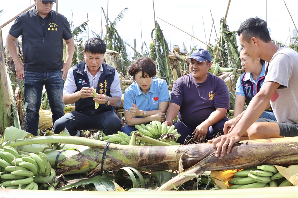 陳銘風市長和縣長饒慶鈴、立委黃建賓、議長吳秀華…等，前往受災農地，了解風災對農作物造成的損害